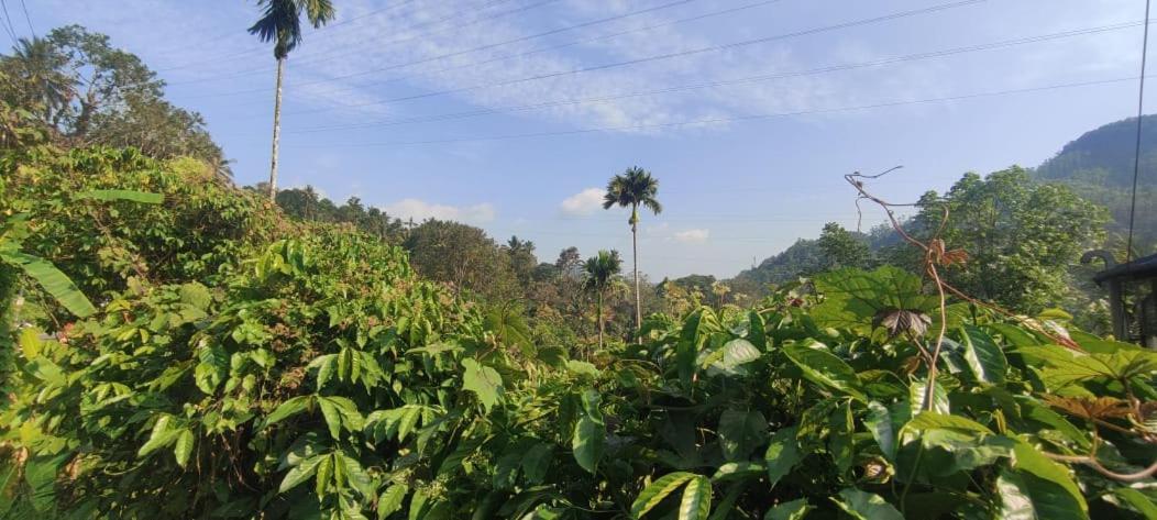 Riya Home Stay Munnar Anaviratty Exterior foto